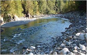 Tulameen Gold Placer